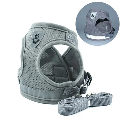 https://cdn.shopify.com/s/files/1/0647/9170/7830/files/harnais-pour-petit-chien-6-kg-1576255.webp?v=1777923671