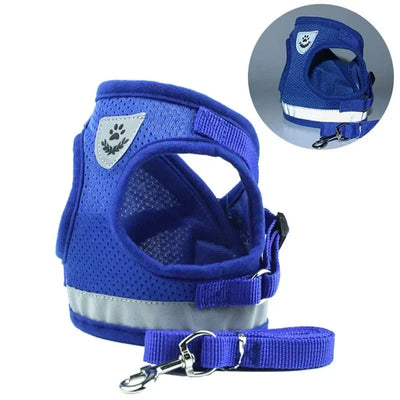 https://cdn.shopify.com/s/files/1/0647/9170/7830/files/harnais-pour-petit-chien-6-kg-6170484.webp?v=1777923671