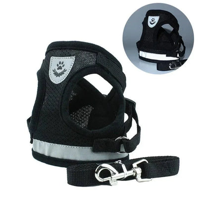 https://cdn.shopify.com/s/files/1/0647/9170/7830/files/harnais-pour-petit-chien-6-kg-6292552.webp?v=1777923672