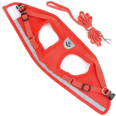 https://cdn.shopify.com/s/files/1/0647/9170/7830/files/harnais-pour-petit-chien-6-kg-6868386.webp?v=1777923671