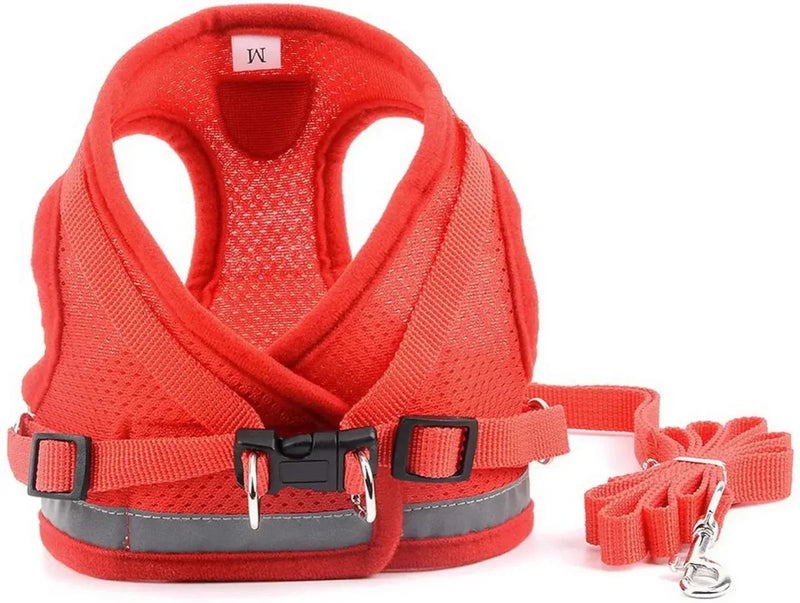 https://cdn.shopify.com/s/files/1/0647/9170/7830/files/harnais-pour-petit-chien-6-kg-3865922.webp?v=1777923671