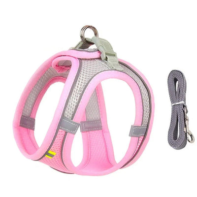 https://cdn.shopify.com/s/files/1/0647/9170/7830/files/harnais-pour-petit-chien-bichon-maltai-8339432.webp?v=1777923258