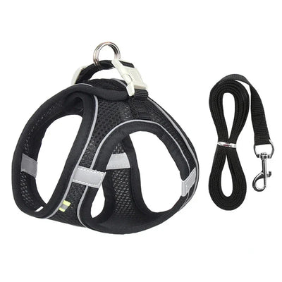 https://cdn.shopify.com/s/files/1/0647/9170/7830/files/harnais-pour-petit-chien-bichon-maltai-8749011.webp?v=1777923259