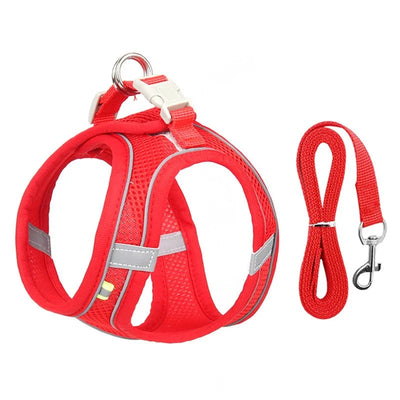 https://cdn.shopify.com/s/files/1/0647/9170/7830/files/harnais-pour-petit-chien-respirant-1565634.webp?v=1777924817