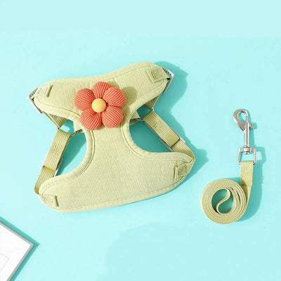 https://cdn.shopify.com/s/files/1/0647/9170/7830/files/harnais-pour-petit-chien-sensible-2727014.webp?v=1777923852