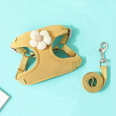 https://cdn.shopify.com/s/files/1/0647/9170/7830/files/harnais-pour-petit-chien-sensible-7317454.webp?v=1777923851