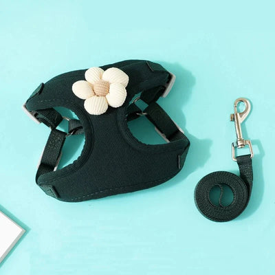 https://cdn.shopify.com/s/files/1/0647/9170/7830/files/harnais-pour-petit-chien-sensible-9828807.webp?v=1777923851