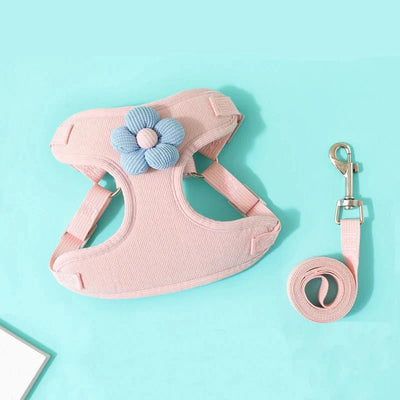 https://cdn.shopify.com/s/files/1/0647/9170/7830/files/harnais-pour-petit-chien-sensible-9925204.webp?v=1777923852