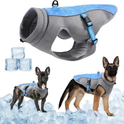 https://cdn.shopify.com/s/files/1/0647/9170/7830/files/harnais-rafraichissant-chien-6269394.webp?v=1777923370