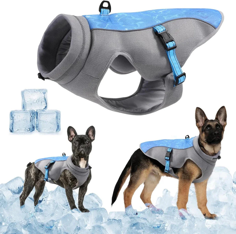 https://cdn.shopify.com/s/files/1/0647/9170/7830/files/harnais-rafraichissant-chien-8908505.webp?v=1777923370