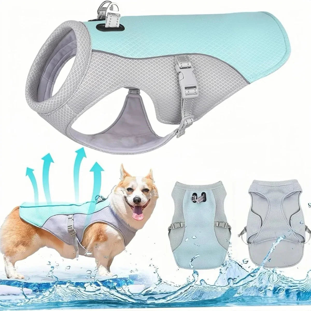 https://cdn.shopify.com/s/files/1/0647/9170/7830/files/harnais-rafraichissant-chien-8908505.webp?v=1777923370