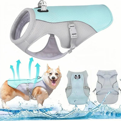https://cdn.shopify.com/s/files/1/0647/9170/7830/files/harnais-rafraichissant-chien-8908505.webp?v=1777923370