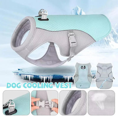 https://cdn.shopify.com/s/files/1/0647/9170/7830/files/harnais-rafraichissant-chien-9337101.webp?v=1777923372