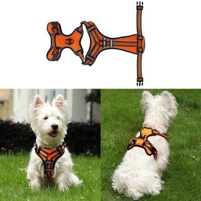 https://cdn.shopify.com/s/files/1/0647/9170/7830/files/harnais-rembourre-en-y-avec-poignee-chien-7641994.webp?v=1777924700