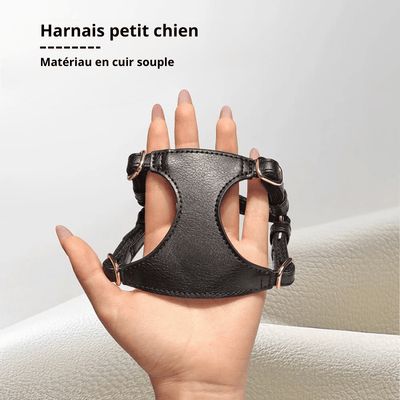 https://cdn.shopify.com/s/files/1/0647/9170/7830/files/harnais-style-cuir-avec-laisse-pour-chihuahua-1714614.png?v=1777924758