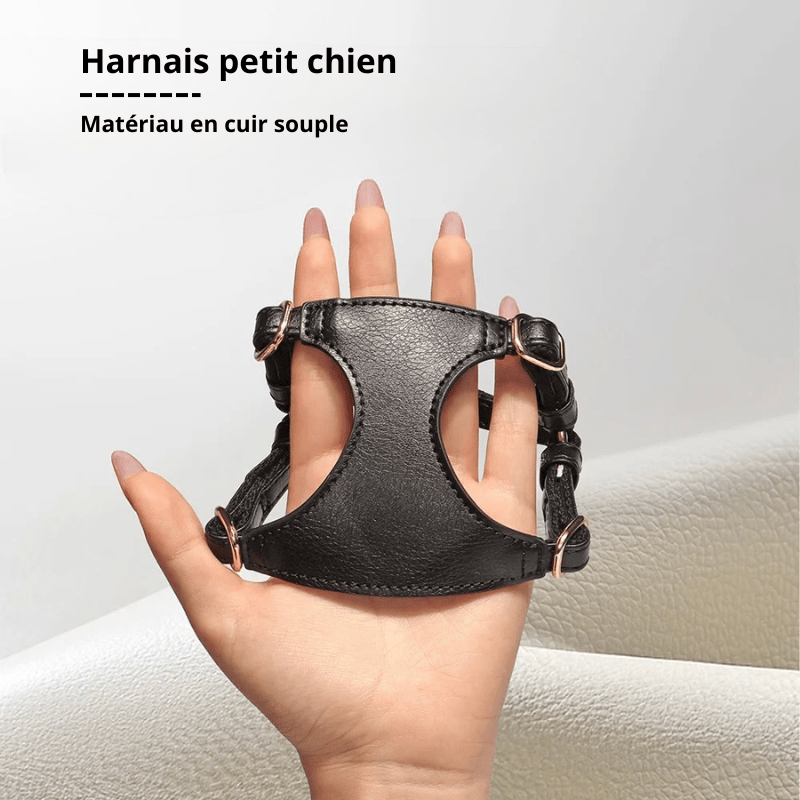 https://cdn.shopify.com/s/files/1/0647/9170/7830/files/harnais-style-cuir-avec-laisse-pour-chihuahua-4969962.webp?v=1777924756