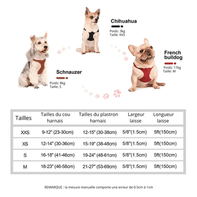 https://cdn.shopify.com/s/files/1/0647/9170/7830/files/harnais-style-cuir-avec-laisse-pour-chihuahua-2502623.png?v=1777924757