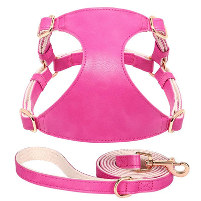 https://cdn.shopify.com/s/files/1/0647/9170/7830/files/harnais-style-cuir-avec-laisse-pour-chihuahua-2681655.webp?v=1777924756