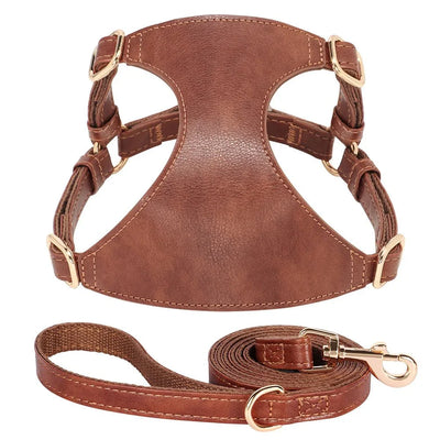 https://cdn.shopify.com/s/files/1/0647/9170/7830/files/harnais-style-cuir-avec-laisse-pour-chihuahua-3610557.webp?v=1777924757
