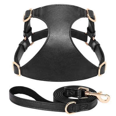 https://cdn.shopify.com/s/files/1/0647/9170/7830/files/harnais-style-cuir-avec-laisse-pour-chihuahua-5042961.webp?v=1777924756