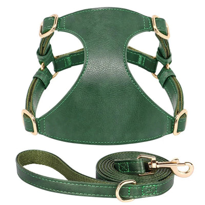 https://cdn.shopify.com/s/files/1/0647/9170/7830/files/harnais-style-cuir-avec-laisse-pour-chihuahua-8827442.webp?v=1777924757