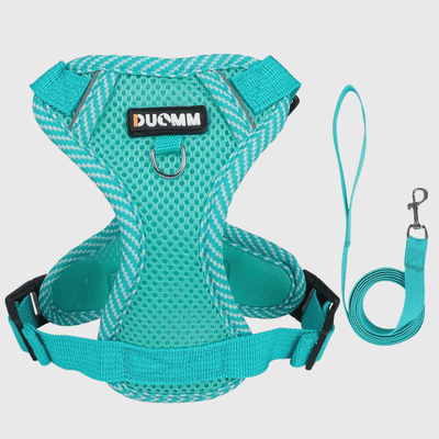 https://cdn.shopify.com/s/files/1/0763/9767/4819/files/harnais_ajustable_pour_chien_bleu.png?v=1698683947