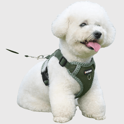 https://cdn.shopify.com/s/files/1/0763/9767/4819/files/harnais_ajustable_pour_chien_caniche.png?v=1698683957
