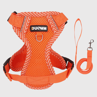 https://cdn.shopify.com/s/files/1/0763/9767/4819/files/harnais_ajustable_pour_chien_orange.png?v=1698683957