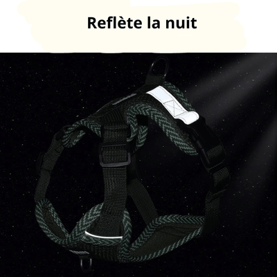 https://cdn.shopify.com/s/files/1/0763/9767/4819/files/harnais_ajustable_pour_chien_reflete.png?v=1698683952