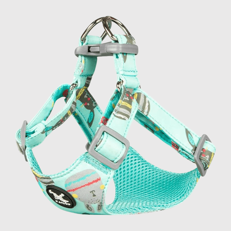 https://cdn.shopify.com/s/files/1/0763/9767/4819/files/harnais-chien-sans-passer-la-tete.png?v=1769186279