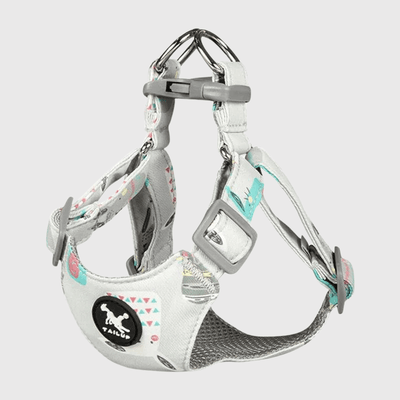 https://cdn.shopify.com/s/files/1/0763/9767/4819/files/harnais_chien_sans_passer_la_tete_gris.png?v=1769186279