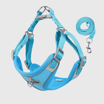 https://cdn.shopify.com/s/files/1/0763/9767/4819/files/harnais_confort_chien_bleu.png?v=1699451251