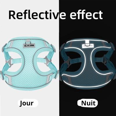 https://cdn.shopify.com/s/files/1/0763/9767/4819/files/harnais_confort_chien_jour_nuit.png?v=1699451251