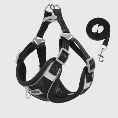 https://cdn.shopify.com/s/files/1/0763/9767/4819/files/harnais_confort_chien_noir.png?v=1699451251