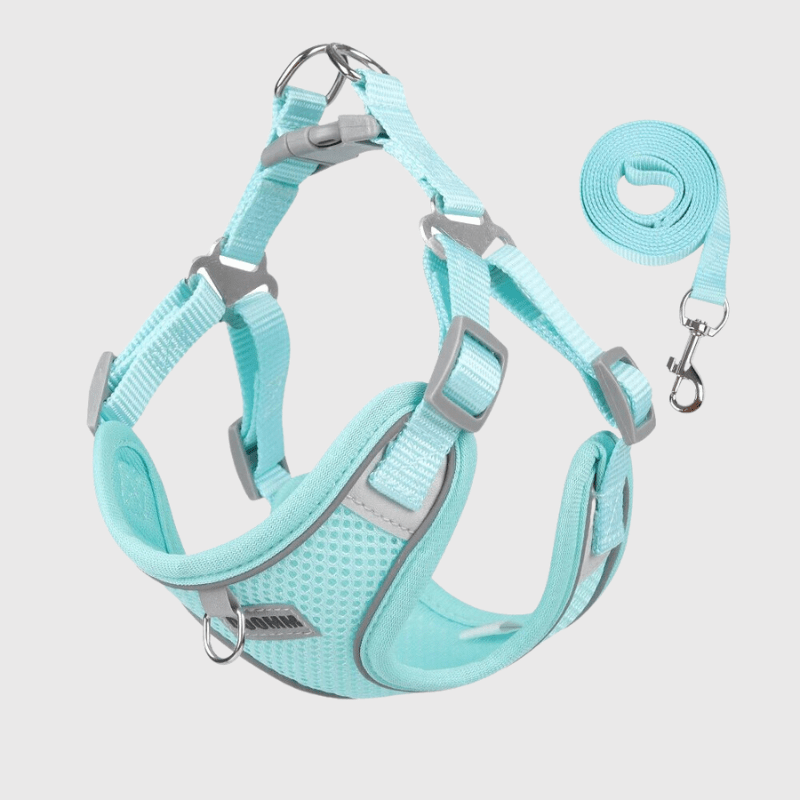 https://cdn.shopify.com/s/files/1/0763/9767/4819/files/harnais_confort_chien_vert_bleu.png?v=1698419776