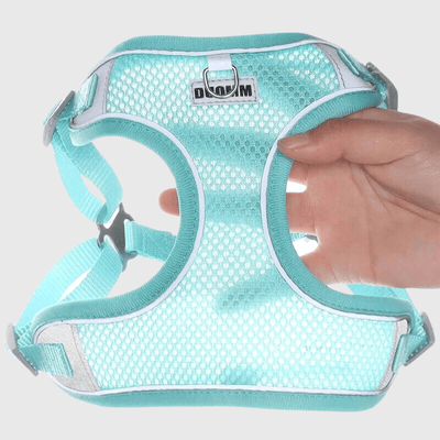 https://cdn.shopify.com/s/files/1/0763/9767/4819/files/harnais_confort_chien_zoom.png?v=1699451251