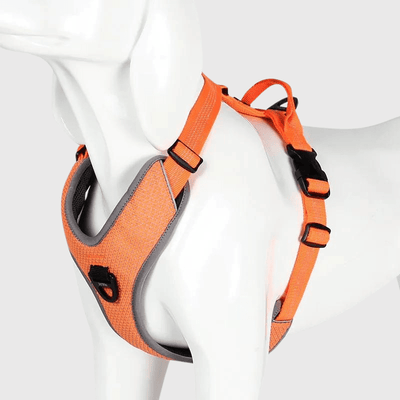 https://cdn.shopify.com/s/files/1/0763/9767/4819/files/harnais_educatif_chien_orange.png?v=1769185892