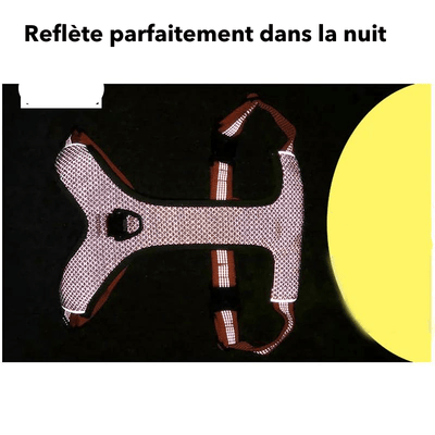 https://cdn.shopify.com/s/files/1/0763/9767/4819/files/harnais_educatif_chien_reflexion.png?v=1769185892