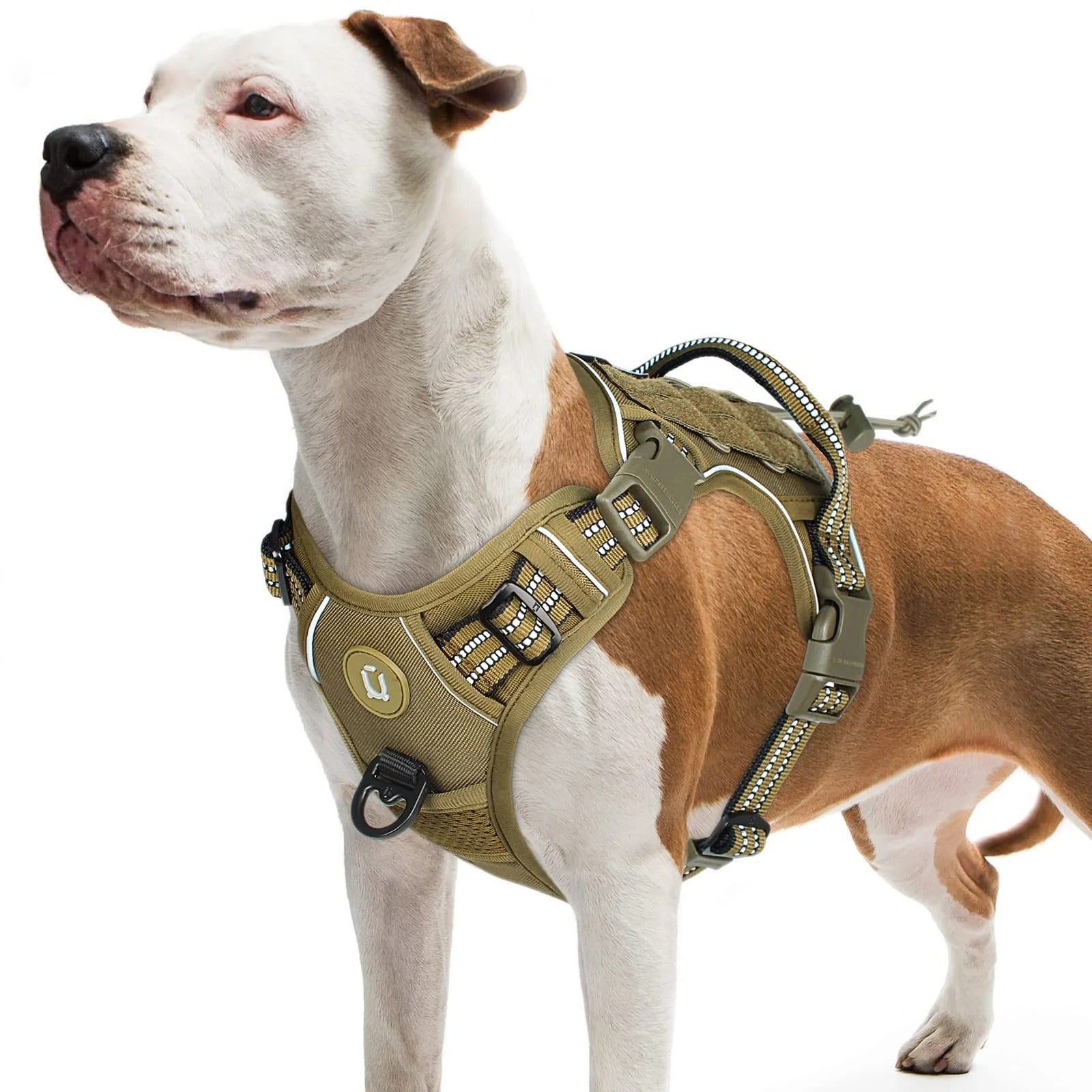 Harnais tactique pour chien