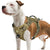 Harnais tactique pour chien