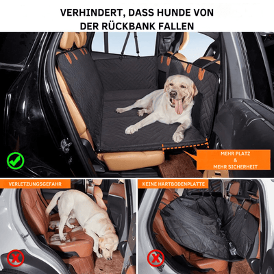 https://cdn.shopify.com/s/files/1/0489/2898/1148/files/hundematte1.png?v=1745074956
