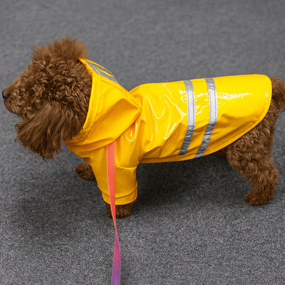 https://cdn.shopify.com/s/files/1/0647/9170/7830/files/impermeable-mignon-pour-petit-chien-2658399.png?v=1777925058