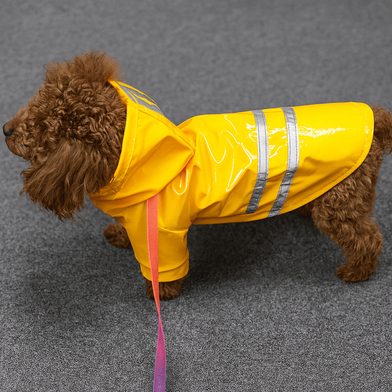 https://cdn.shopify.com/s/files/1/0647/9170/7830/files/impermeable-mignon-pour-petit-chien-1260895.webp?v=1777925058