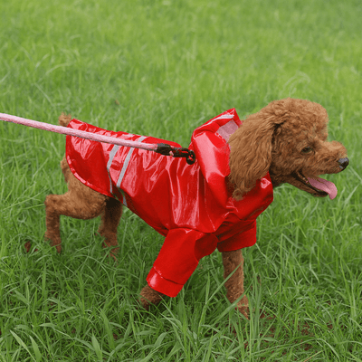 https://cdn.shopify.com/s/files/1/0647/9170/7830/files/impermeable-mignon-pour-petit-chien-4788144.png?v=1777925058