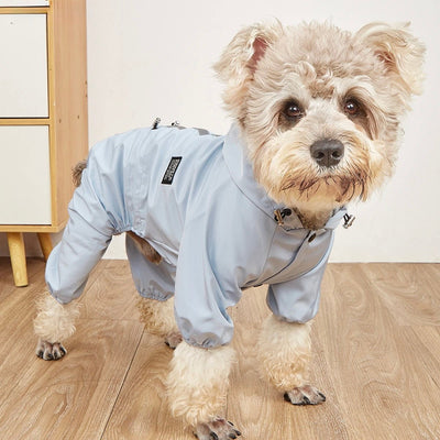https://cdn.shopify.com/s/files/1/0647/9170/7830/files/impermeable-petit-chien-3358442.jpg?v=1777924995