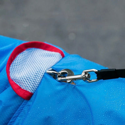 https://cdn.shopify.com/s/files/1/0647/9170/7830/files/impermeable-requin-pour-chien-2075247.jpg?v=1777925350