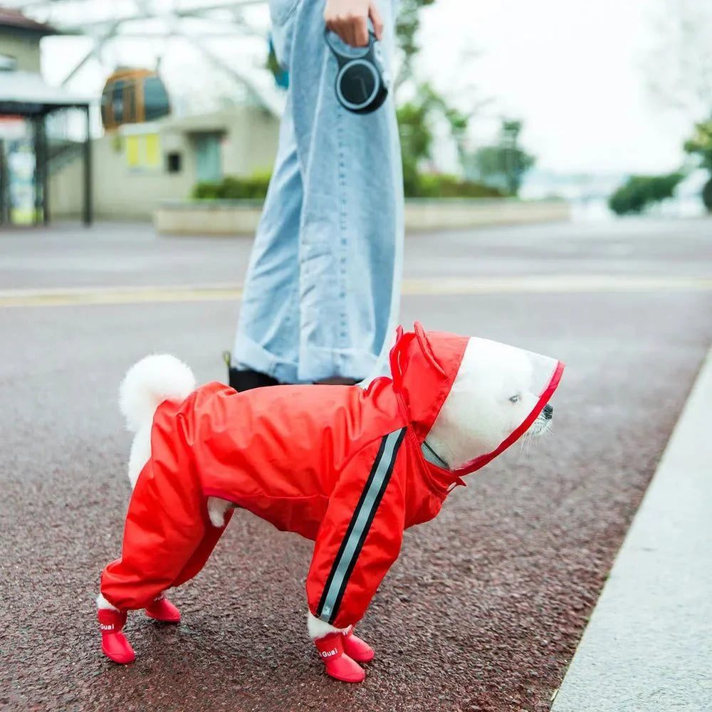https://cdn.shopify.com/s/files/1/0647/9170/7830/files/impermeable-rouge-pour-chien-3254525.webp?v=1777923856