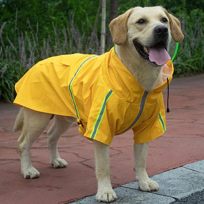 https://cdn.shopify.com/s/files/1/0647/9170/7830/files/impermeable-voyant-pour-chien-2123685.webp?v=1777925174