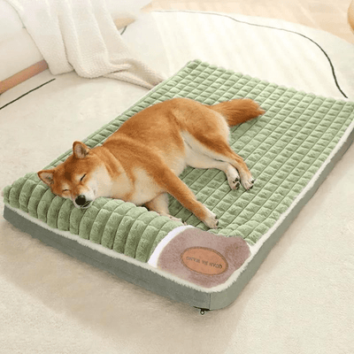 https://cdn.shopify.com/s/files/1/0763/9767/4819/files/it_apaisant_pour_chien_shiba_inu.png?v=1744818586