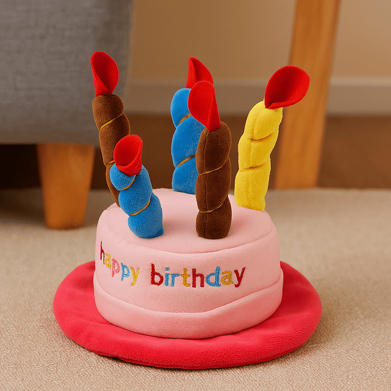 https://cdn.shopify.com/s/files/1/0647/9170/7830/files/jouet-chapeau-danniversaire-pour-chien-8137811.webp?v=1777924569